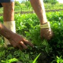 WhatsApp Image 2024-03-27 at 5.08.24 PM.jpeg