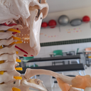 site concurso fisio.png