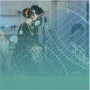 WhatsApp Image 2023-07-11 at 08.09.33.jpeg