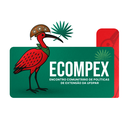 Design sem nome (7).png