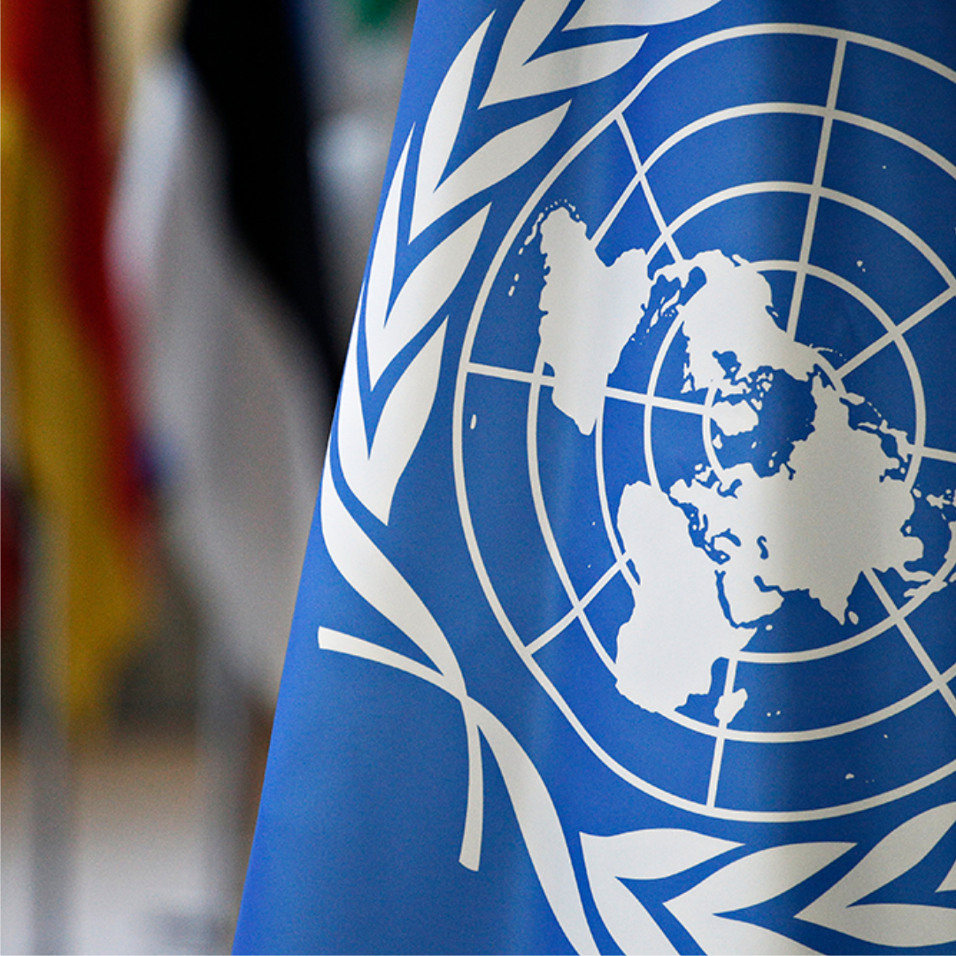 capa onu.png