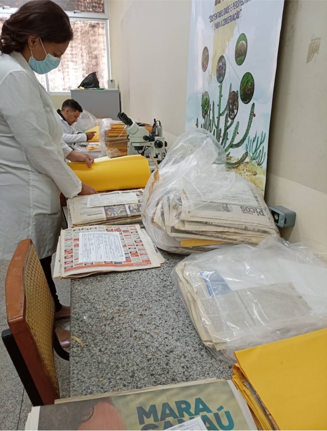 Imagem1.jpg Imagem1.jpg