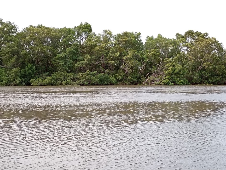 Imagem3.jpg Imagem3.jpg