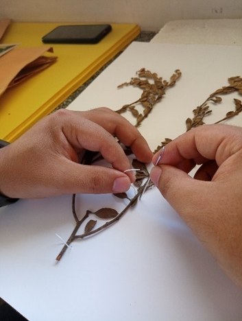 imagem_03.1.jpg imagem_03.1.jpg