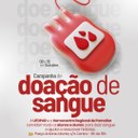 !Campanha de doação de sangue.jpeg
