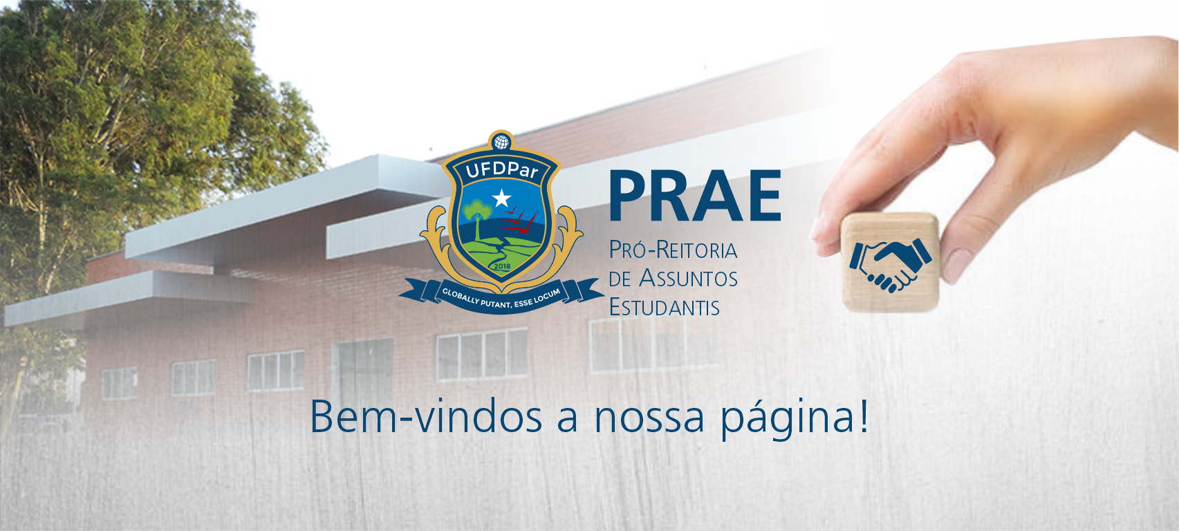 imagem1