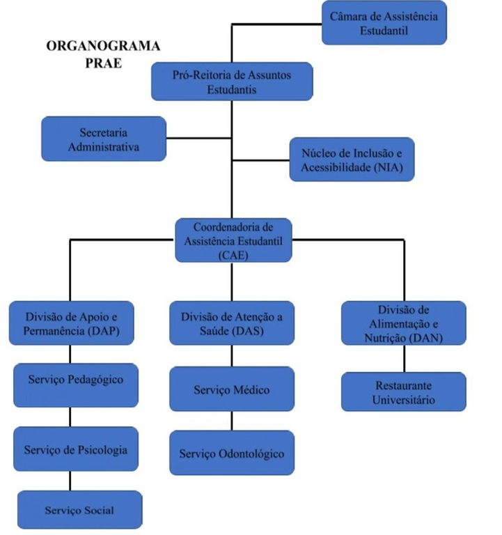 Organograma - PRAE.png