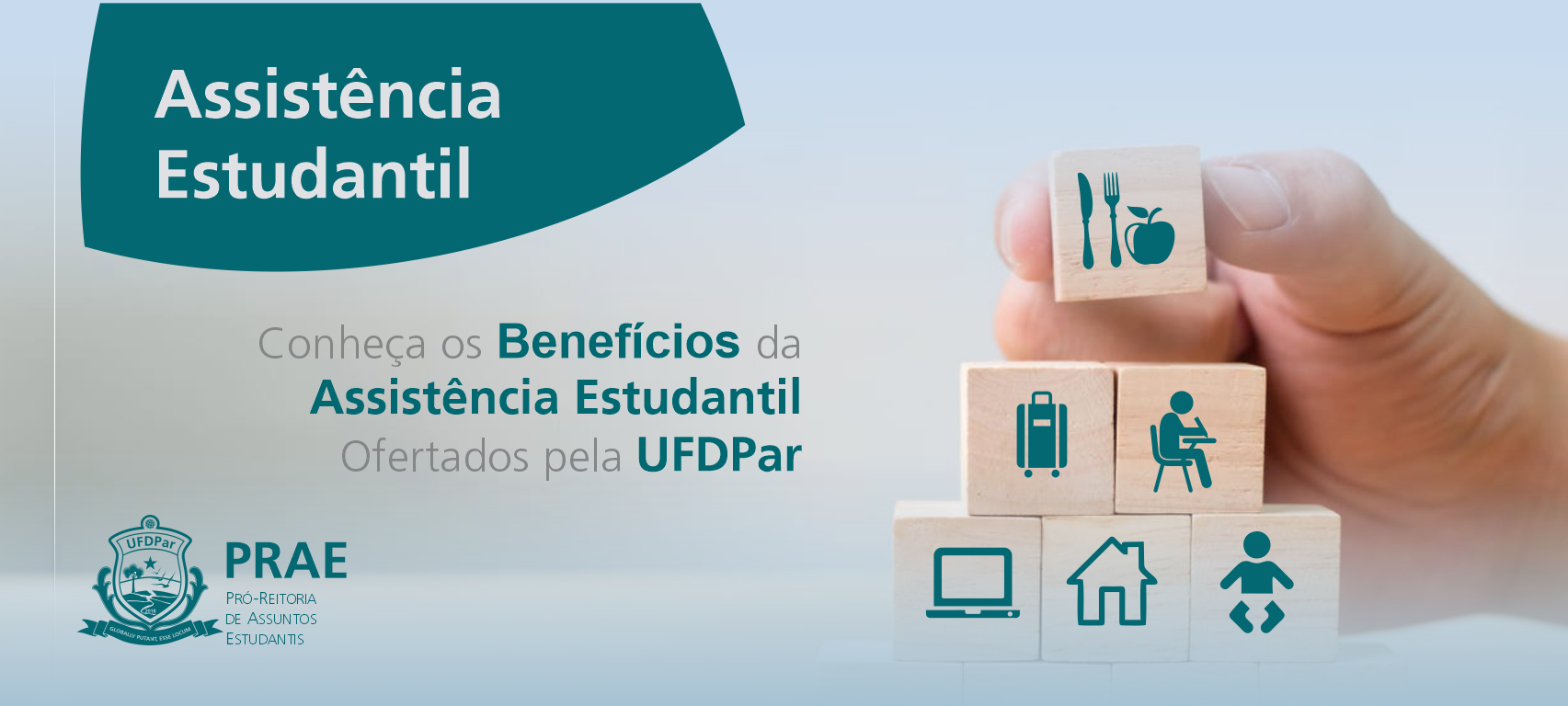 imagem2