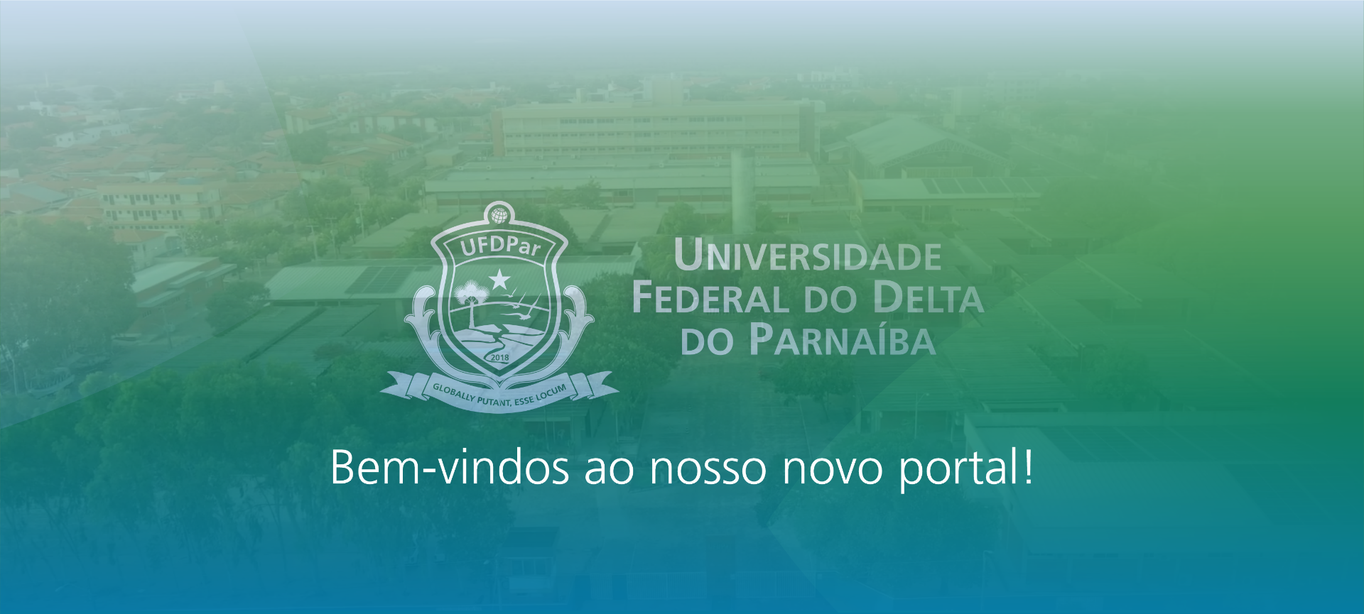 imagem1